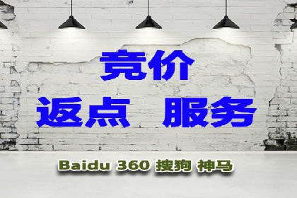 百度推广操作指南：案例解析